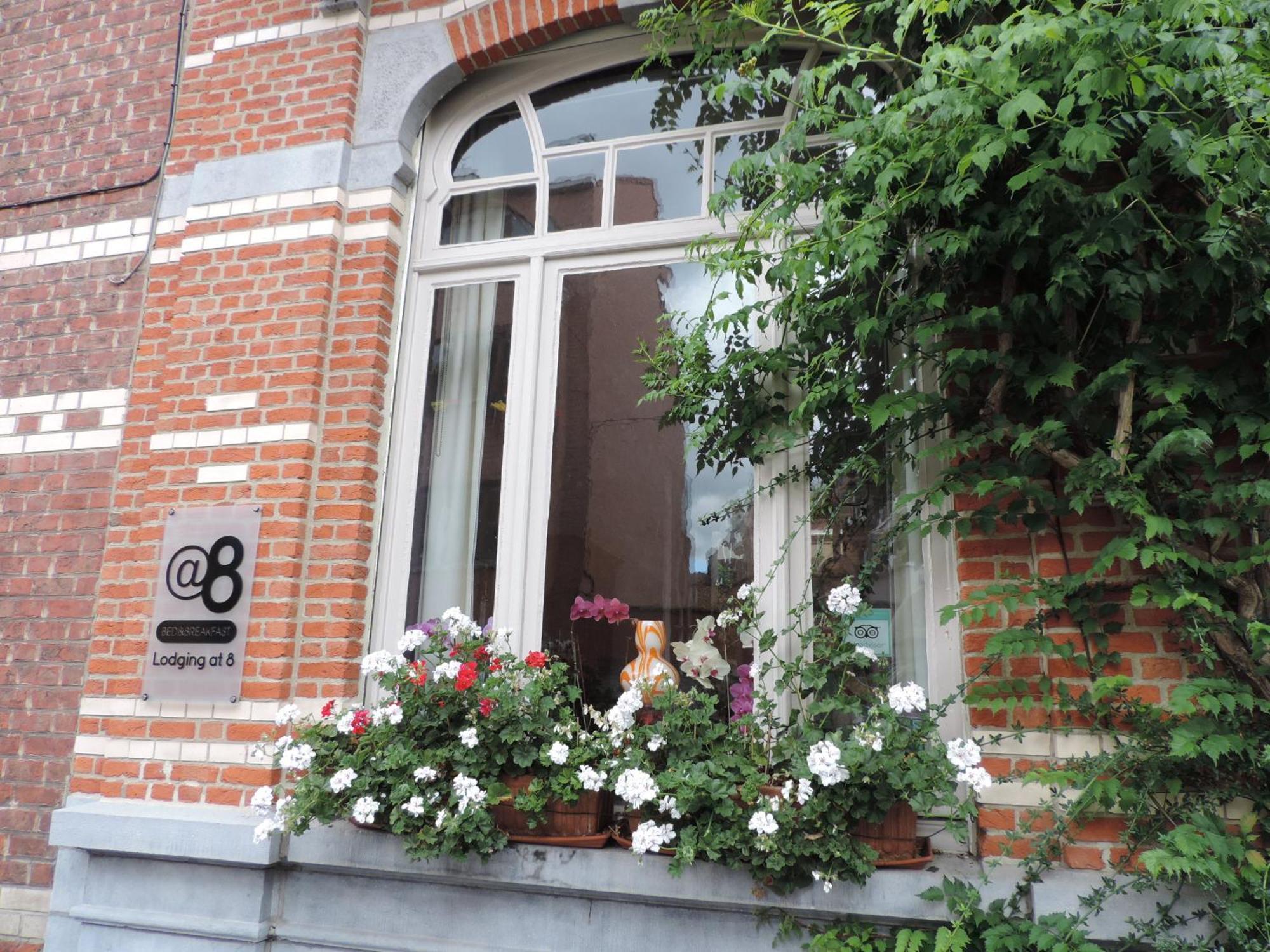 B&B Lodging At 8 Leuven Dış mekan fotoğraf